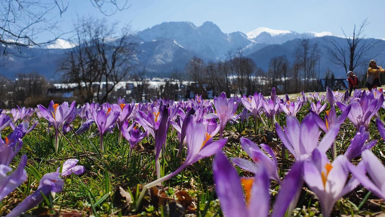 Pokoje Widokowe Szymaszkowa Zakopane Exterior foto